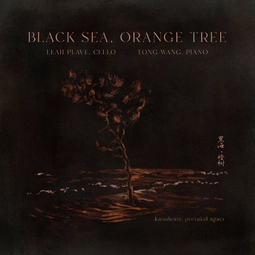 男人🐔和女人做爱的视频
